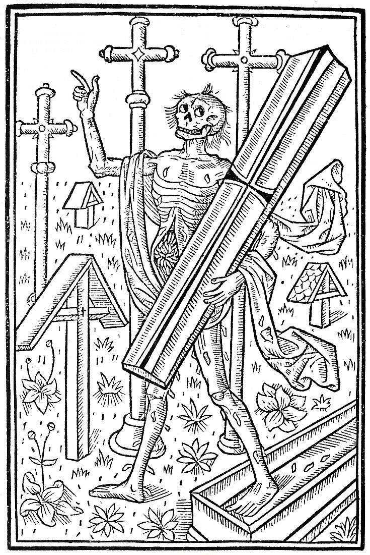 Danse Macabre,1496