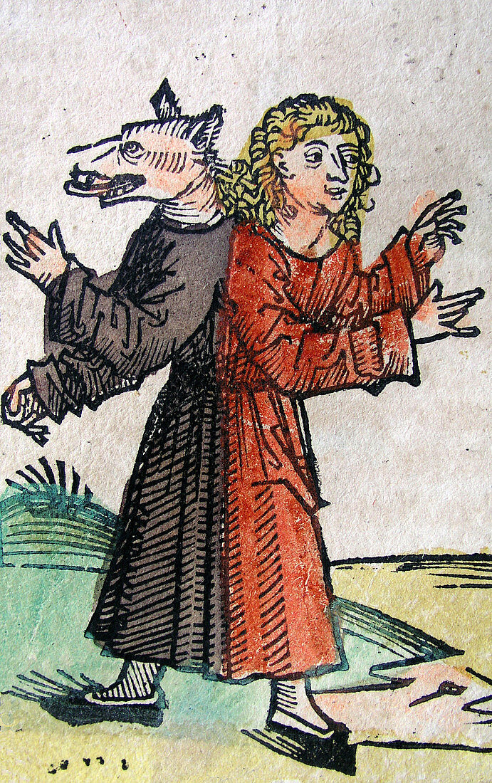 Wolf Boy,Nuremberg Chronicle,1493