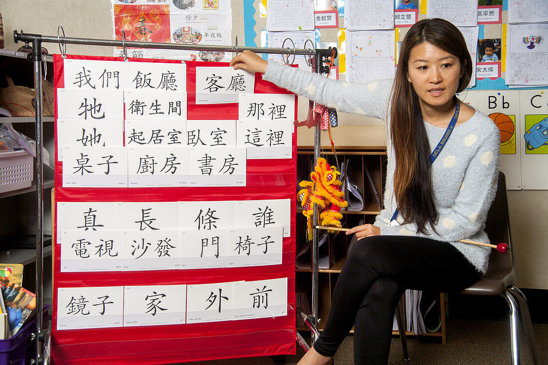 Young Students Learn Mandarin Chinese