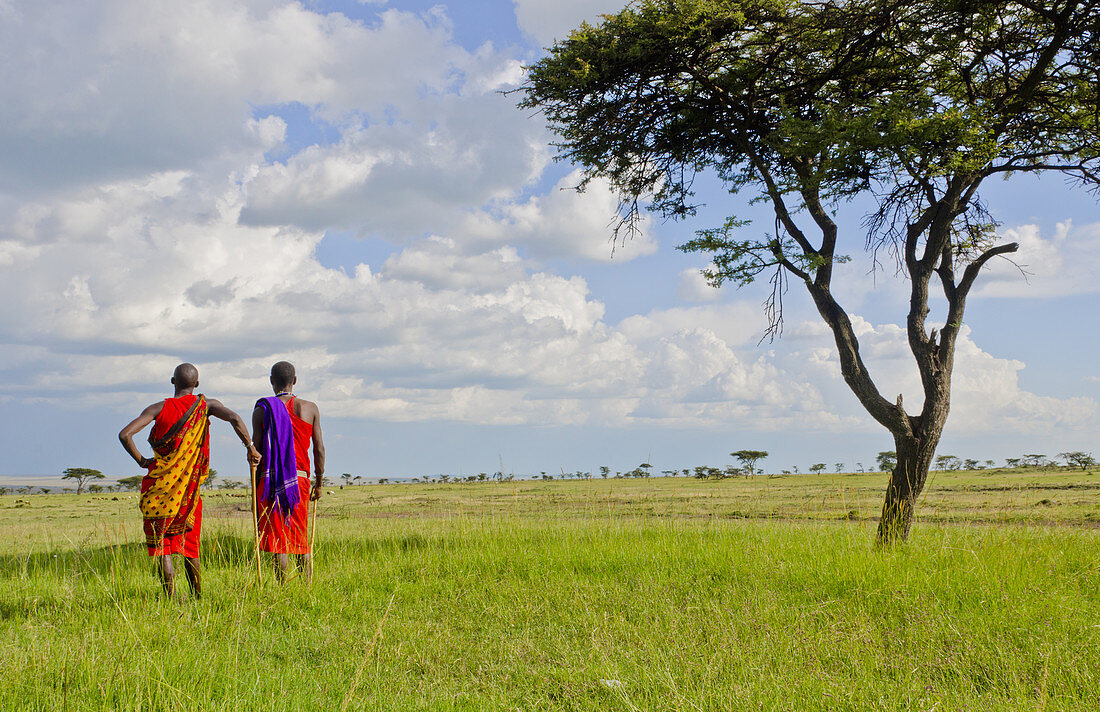 Masai Warriors,Kenya