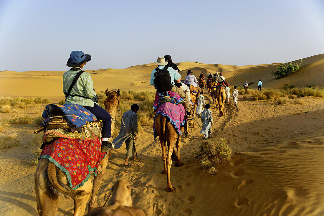 Tourists Riding Camels,Jodhpur,India