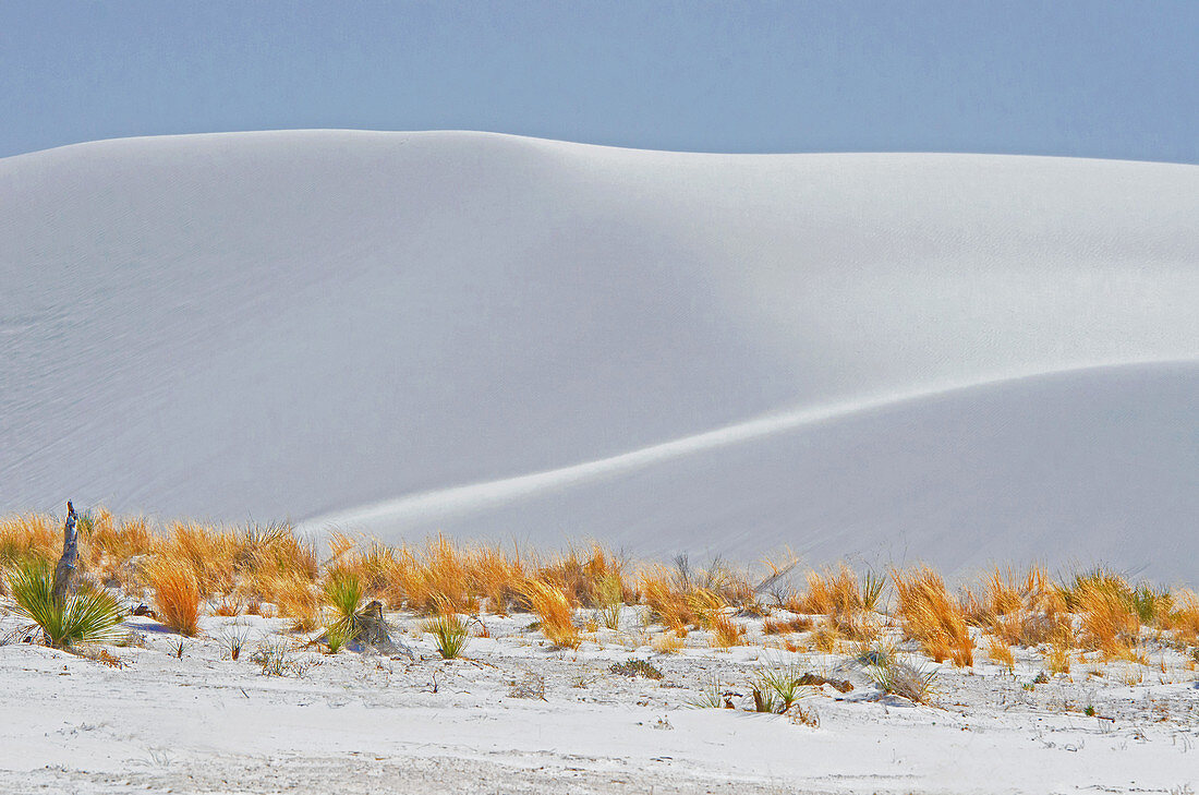 White Sands National Monument,U.S