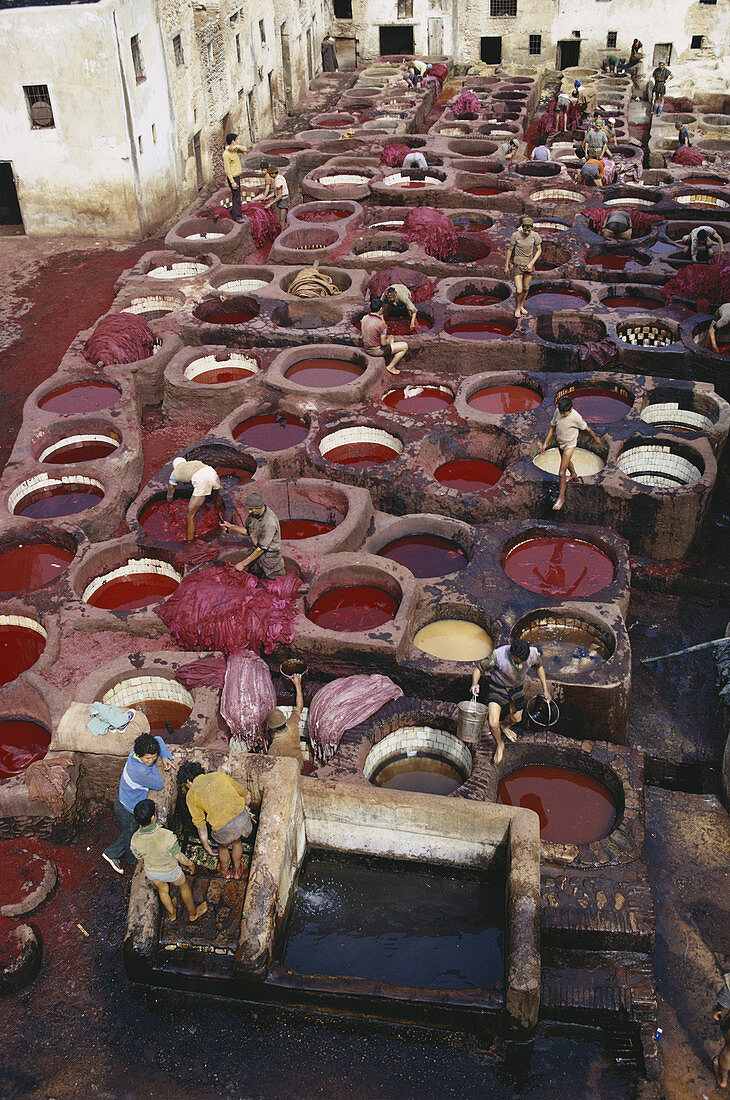 Fez Tannery,Morocco