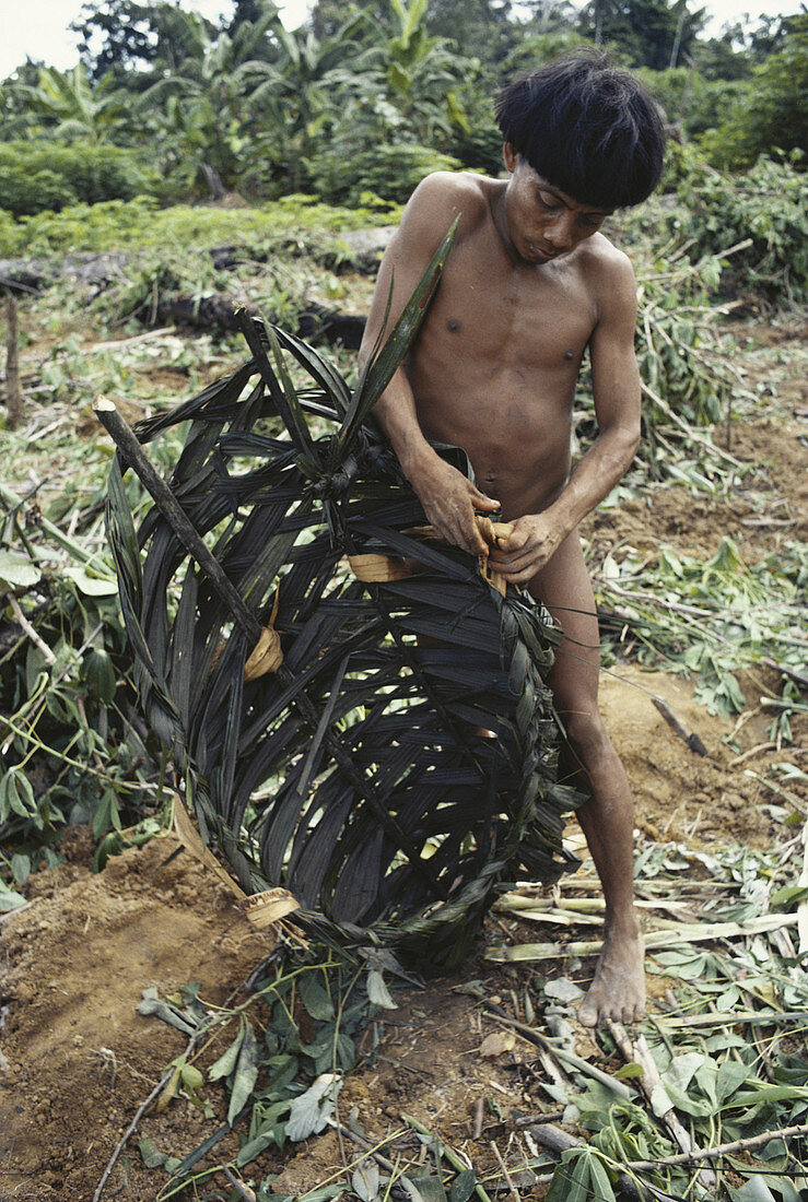 Yanomami Indian Tying,Brazil