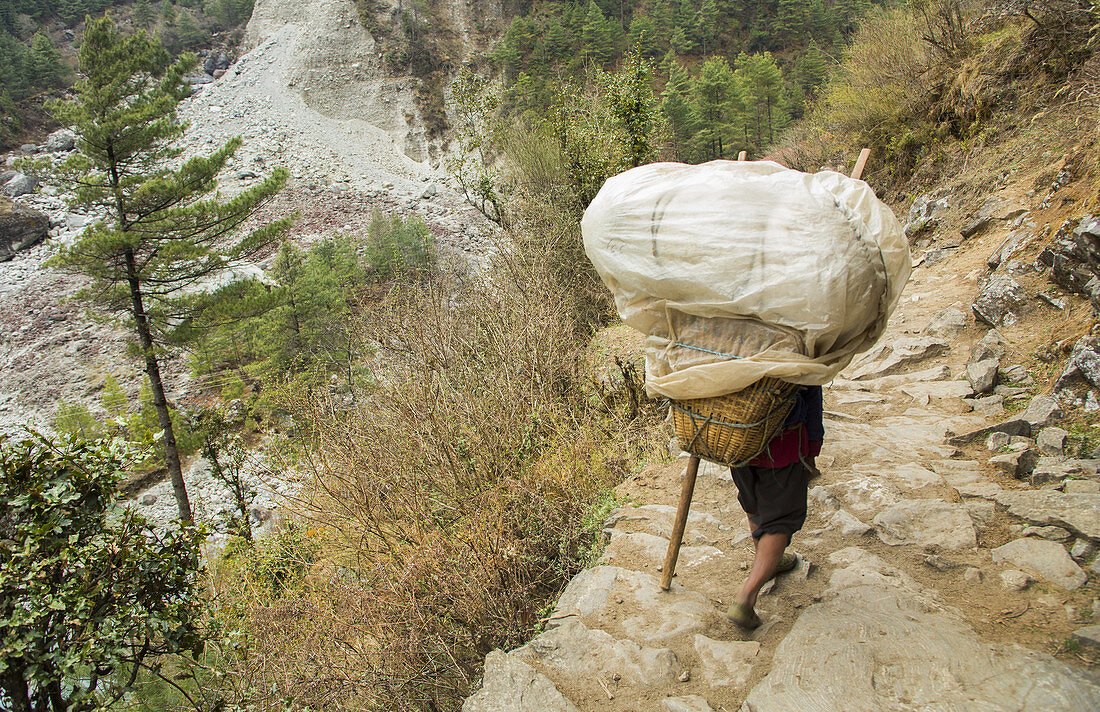 Porter Carrying Load in Solukhumbu,Nepal