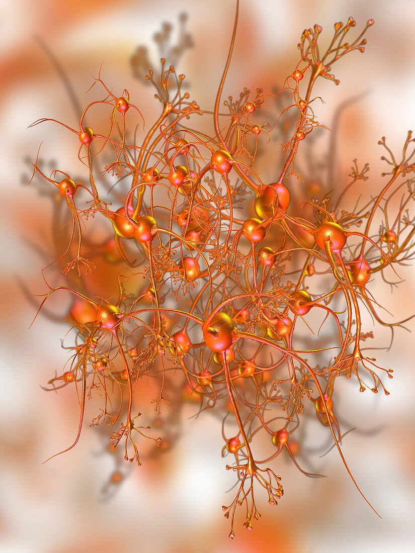 Network of Neurons,Illustration