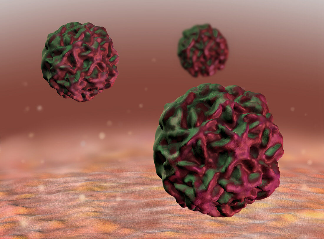 Human Papillomavirus,HPV,Illustration