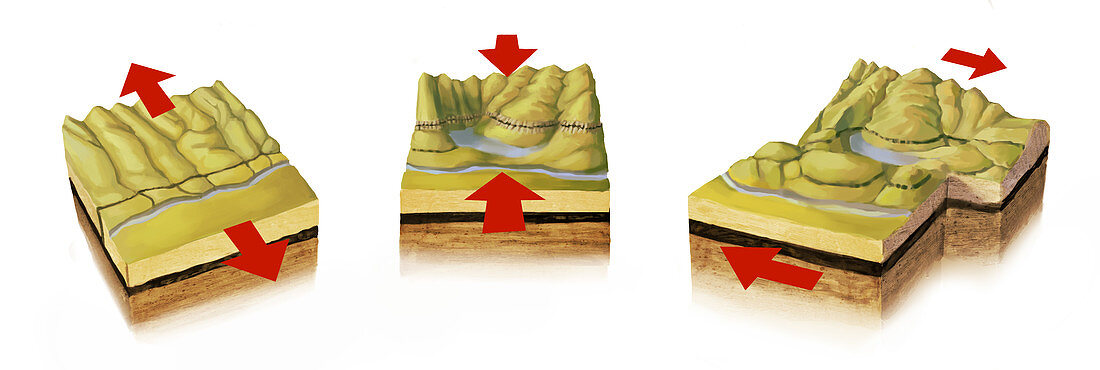 Fault Lines,illustration