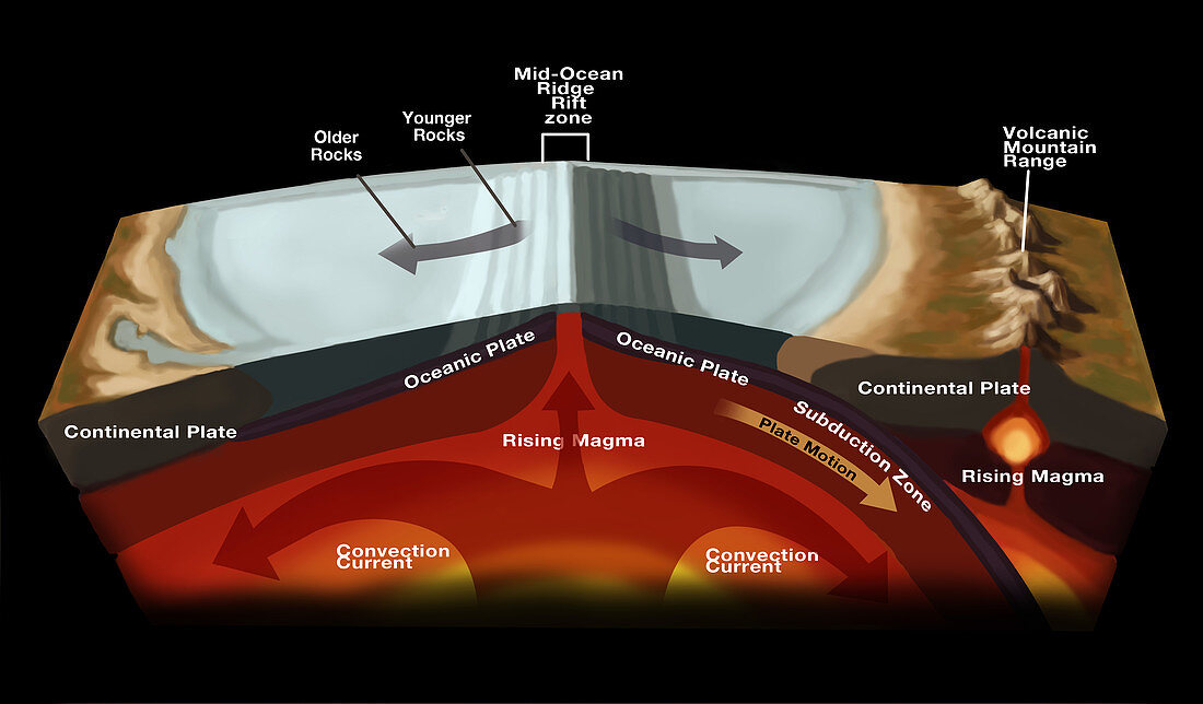 Plate Tectonics,illustration