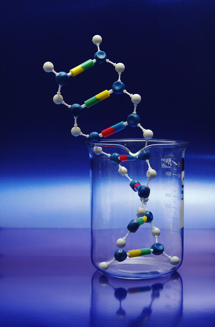 DNA Double Helix in Beaker