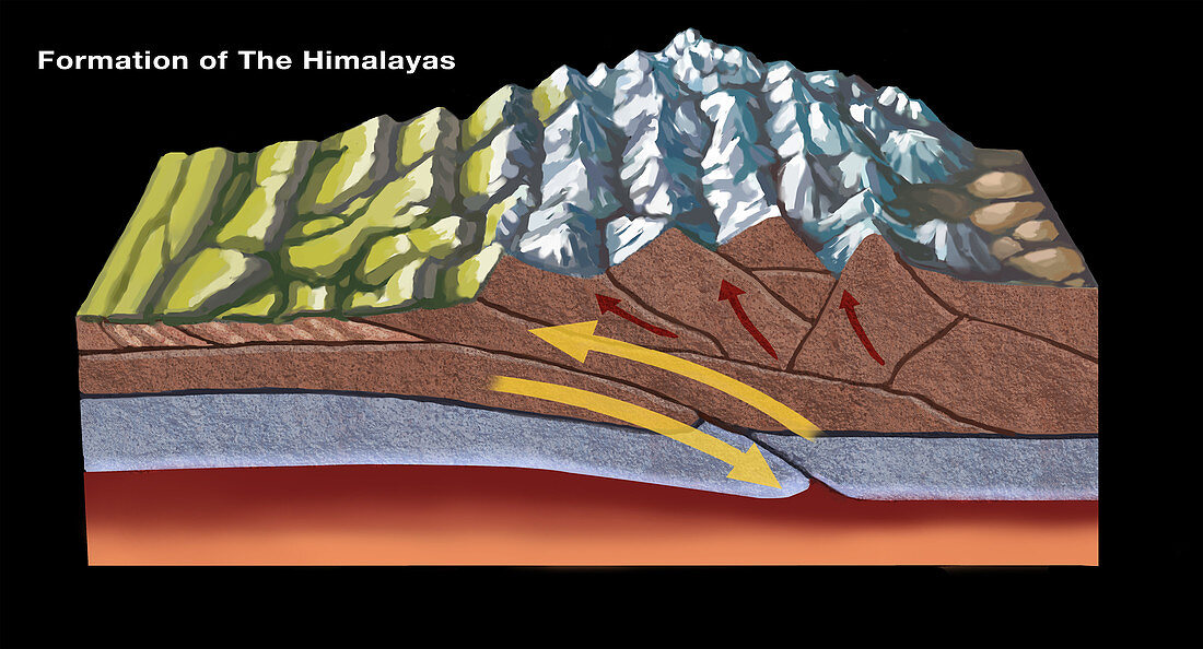 Formation of the Himalayas,illustration