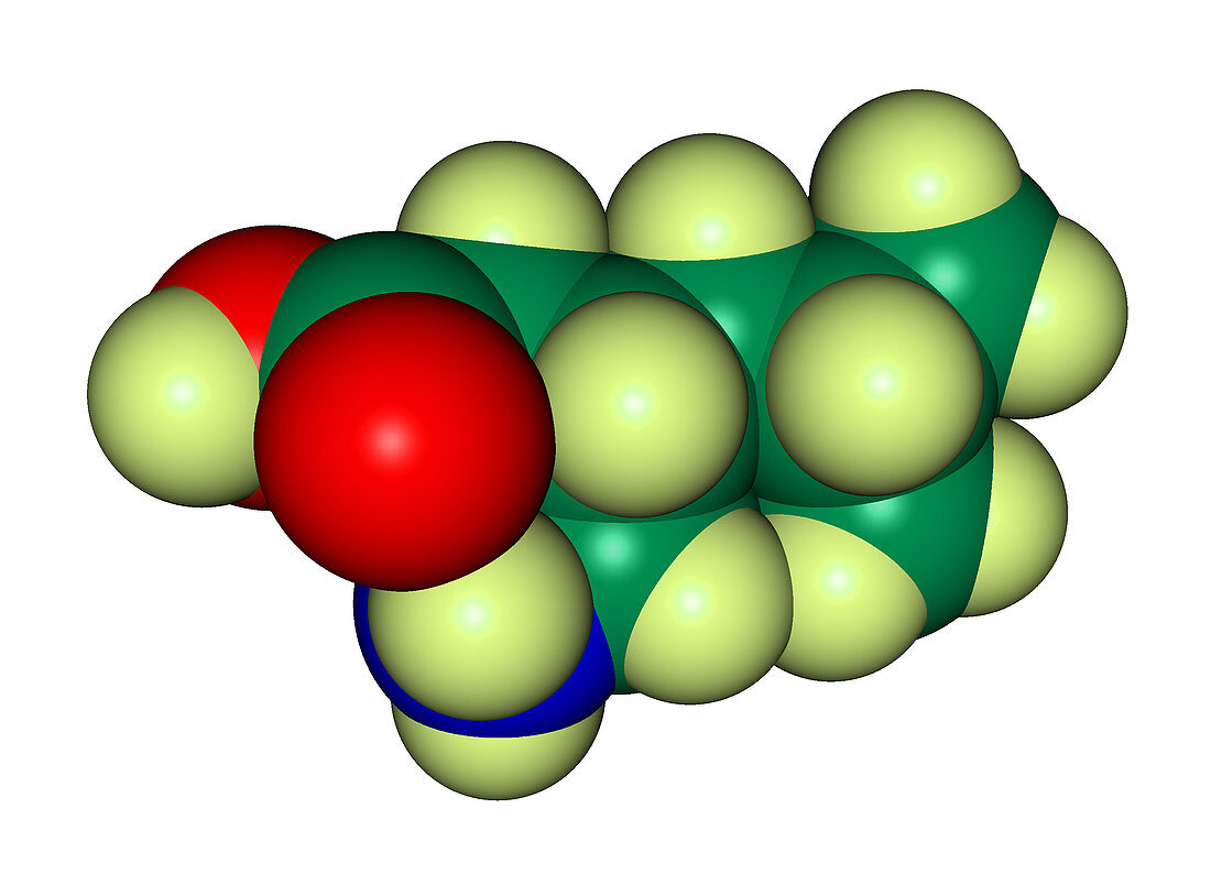 Lyrica molecular model,illustration
