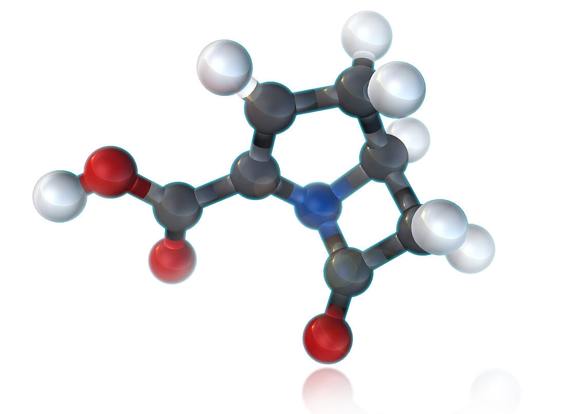 Carbapenem Molecular Model,illustration