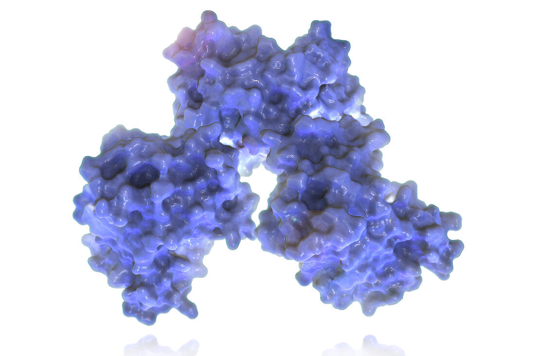 Carbapenemase Molecule,illustration