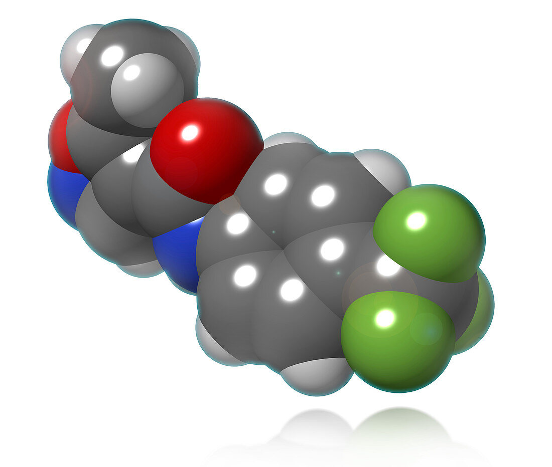 Leflunomide Molecular Model,illustration