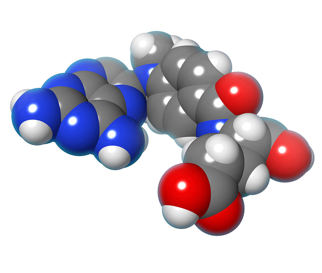 Methotrexate Molecule,illustration