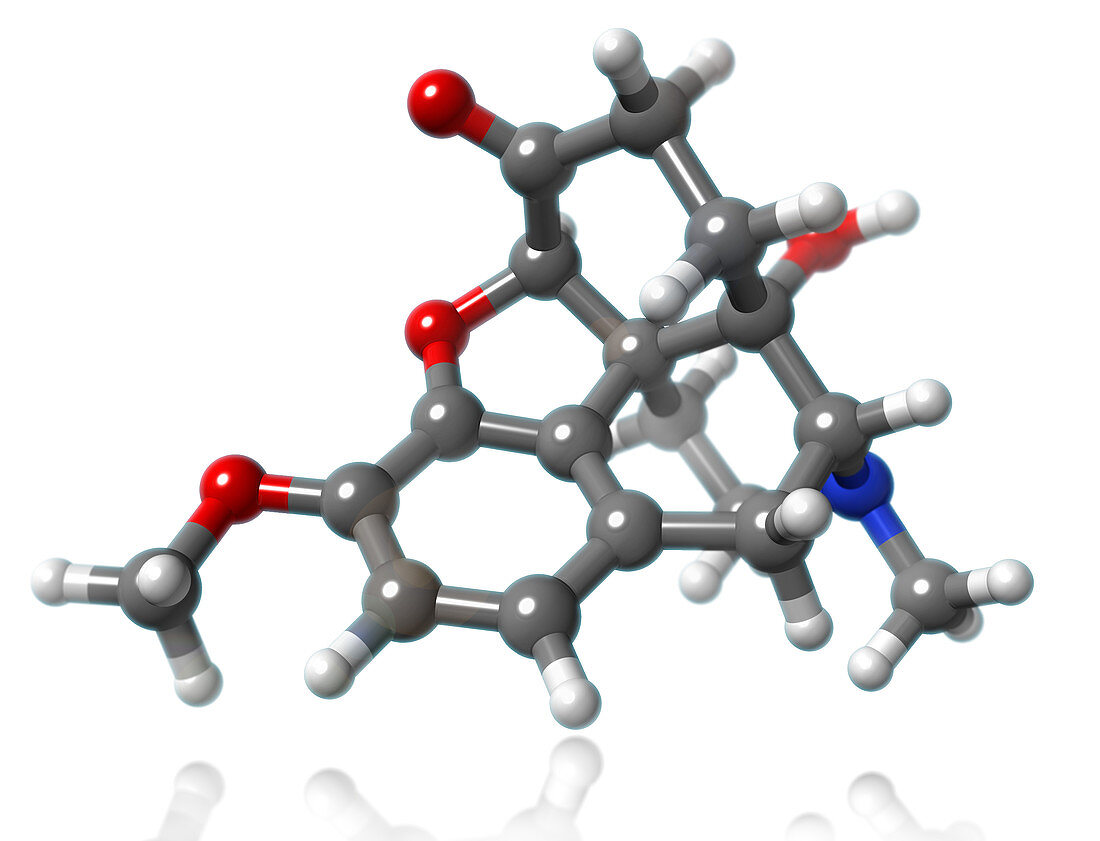 Oxycodone Molecular Model,illustration