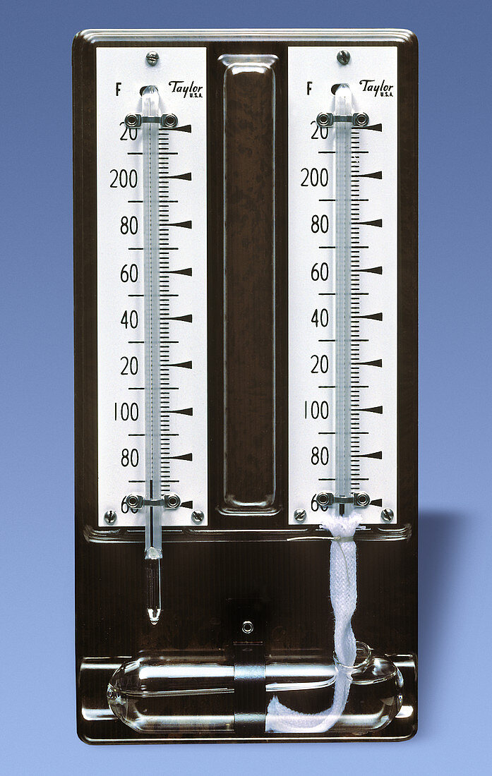 Mason's Hygrometer