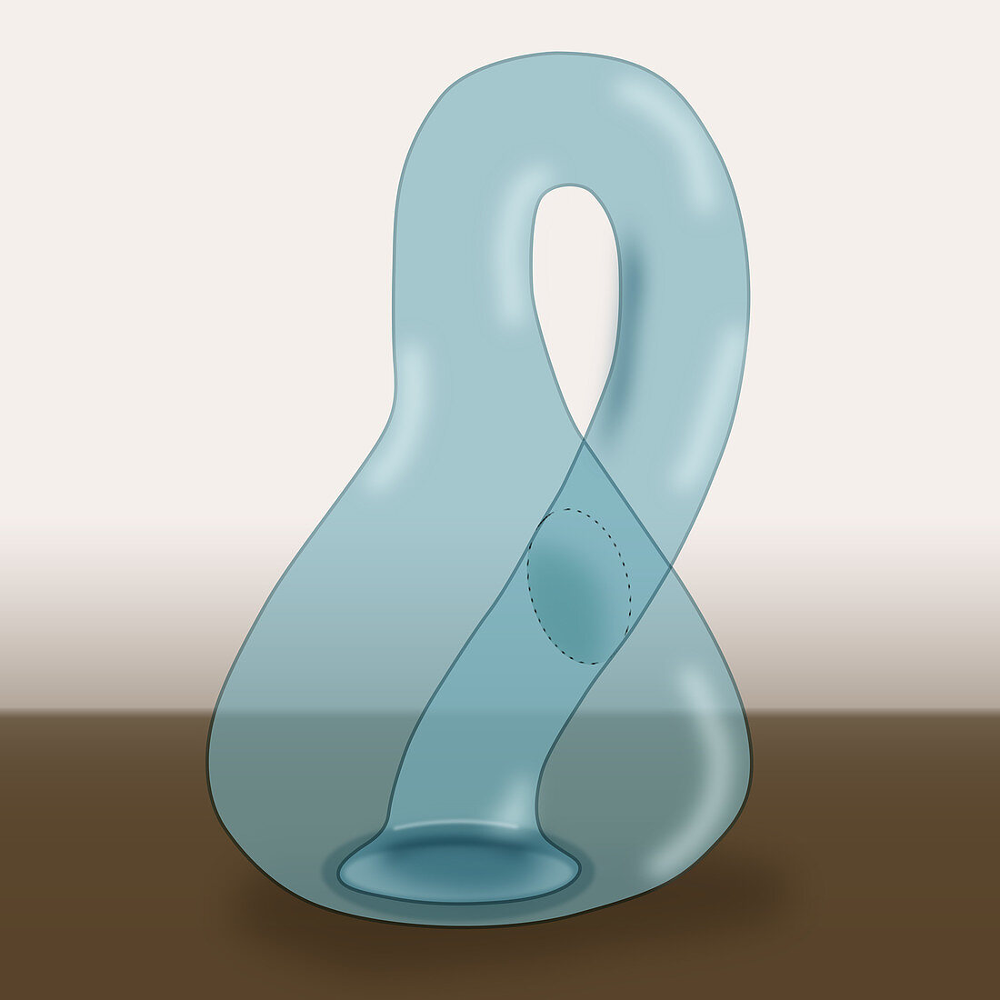 Klein Bottle,illustration