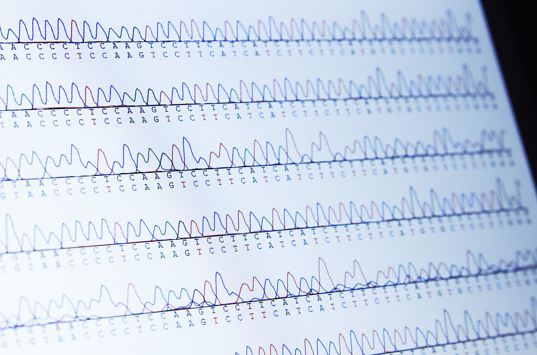 DNA Sequencing