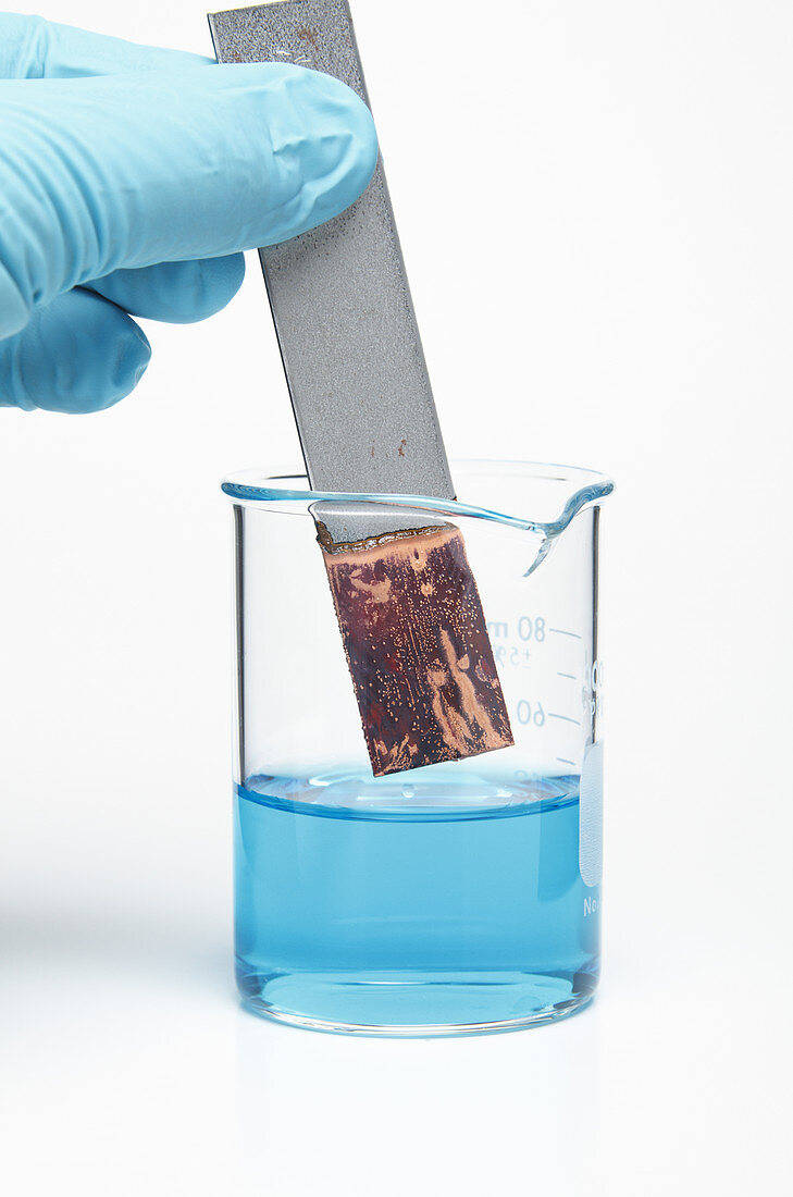 Iron Reacting with Copper Sulfate,6 of 6