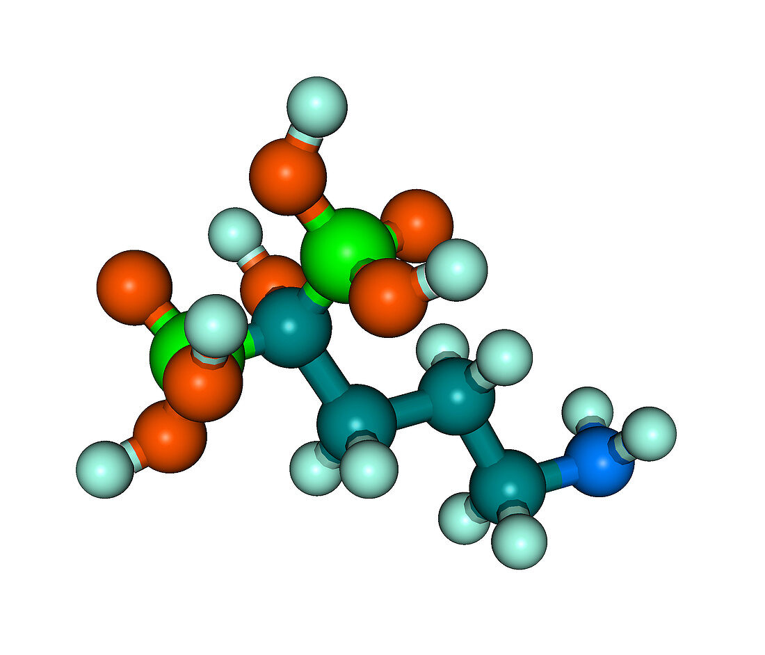 Molecular Model of Fosamax,illustration