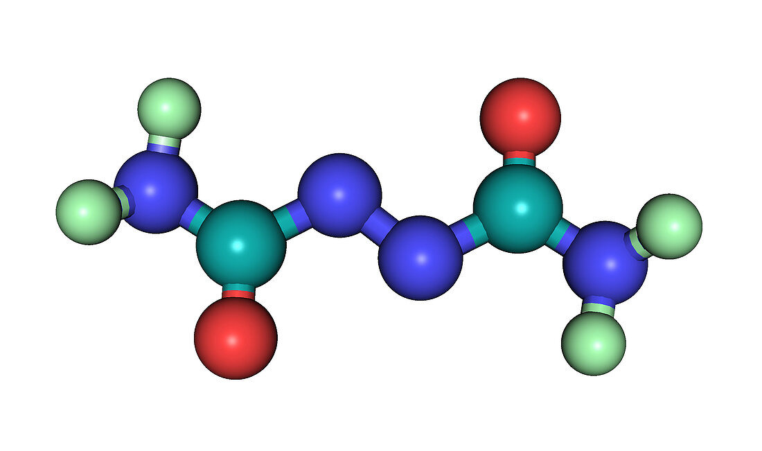 Azodicarbonamide Molecule,illustration