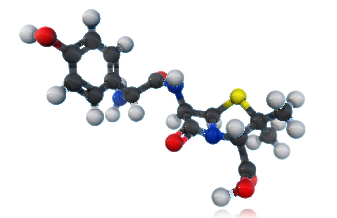 Amoxicillin Molecular Model,illustration