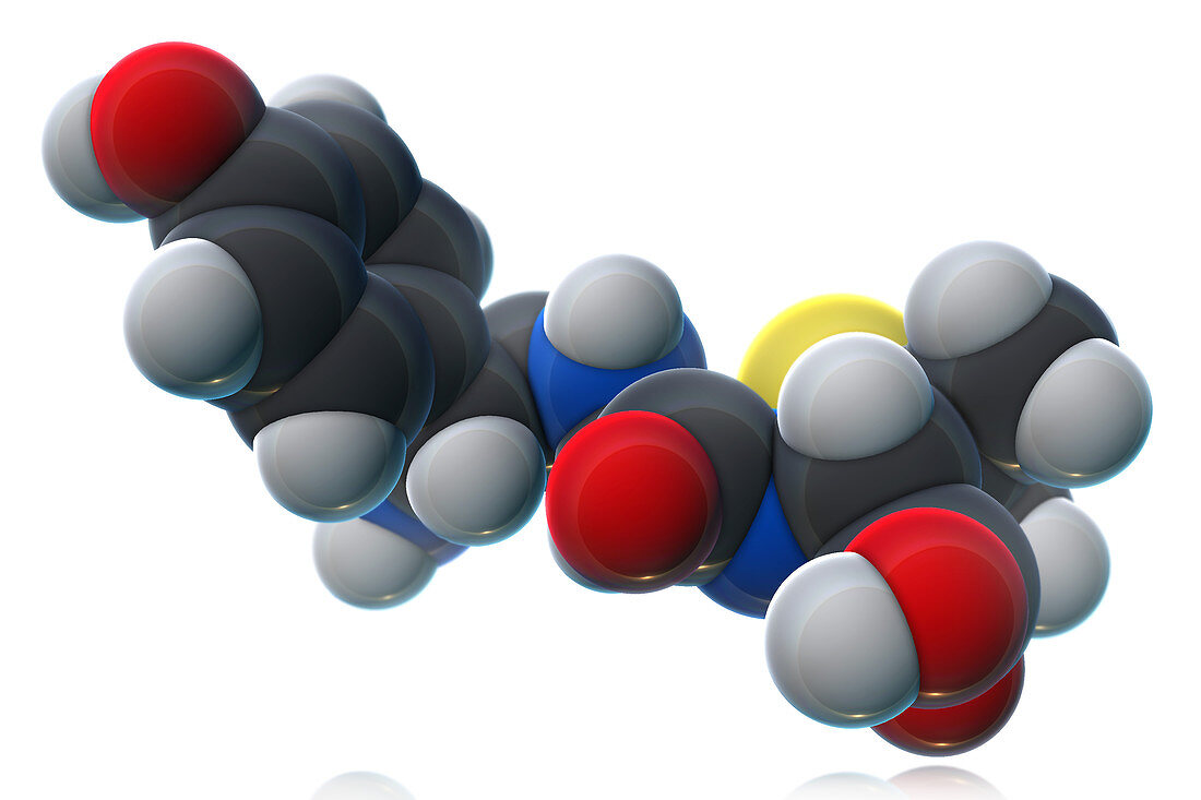 Amoxicillin Molecular Model,illustration