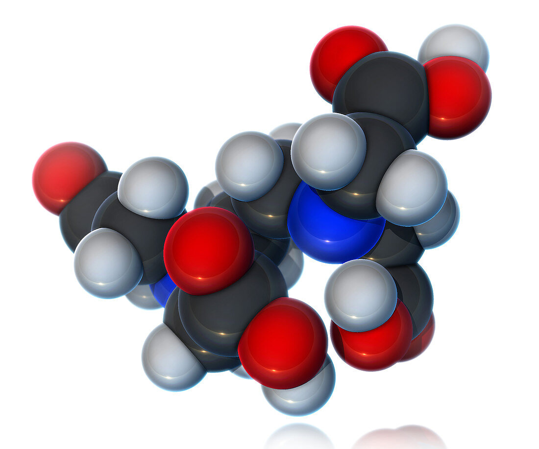EDTA,Molecular Model,illustration