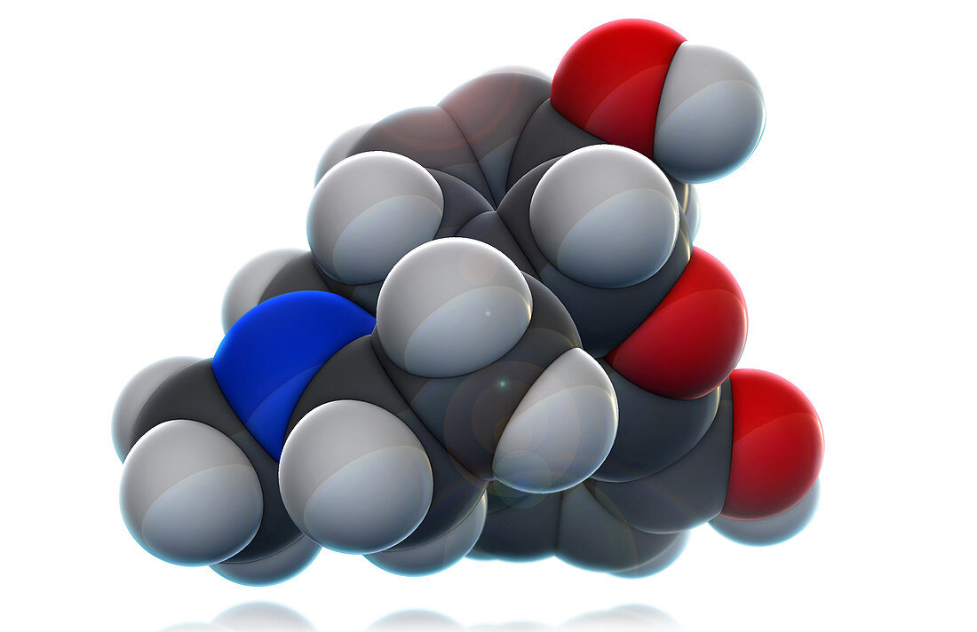 Morphine Molecular Model,illustration