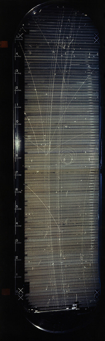 Bubble Chamber Particle Tracks,c. 1960s