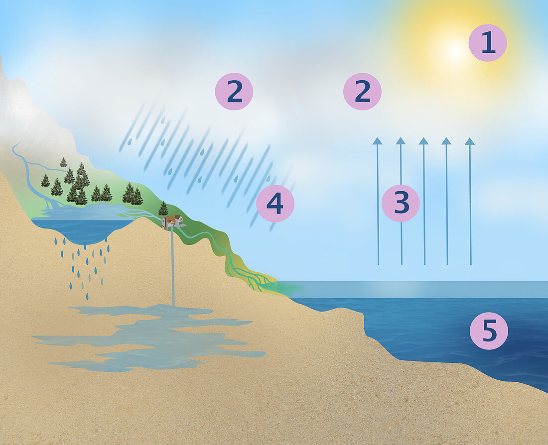 Water Cycle on Earth,illustration