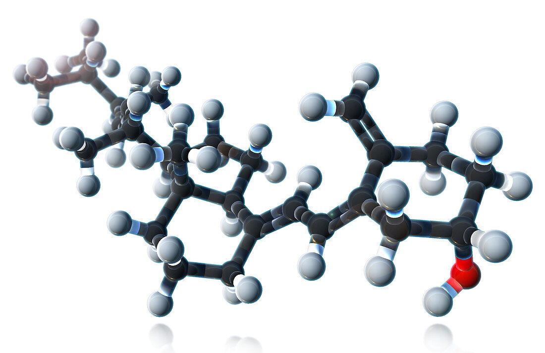 Vitamin D2,Molecular Model,illustration