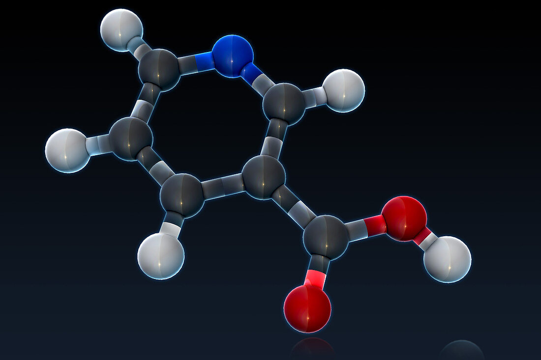 Vitamin B3,Molecular Model,illustration