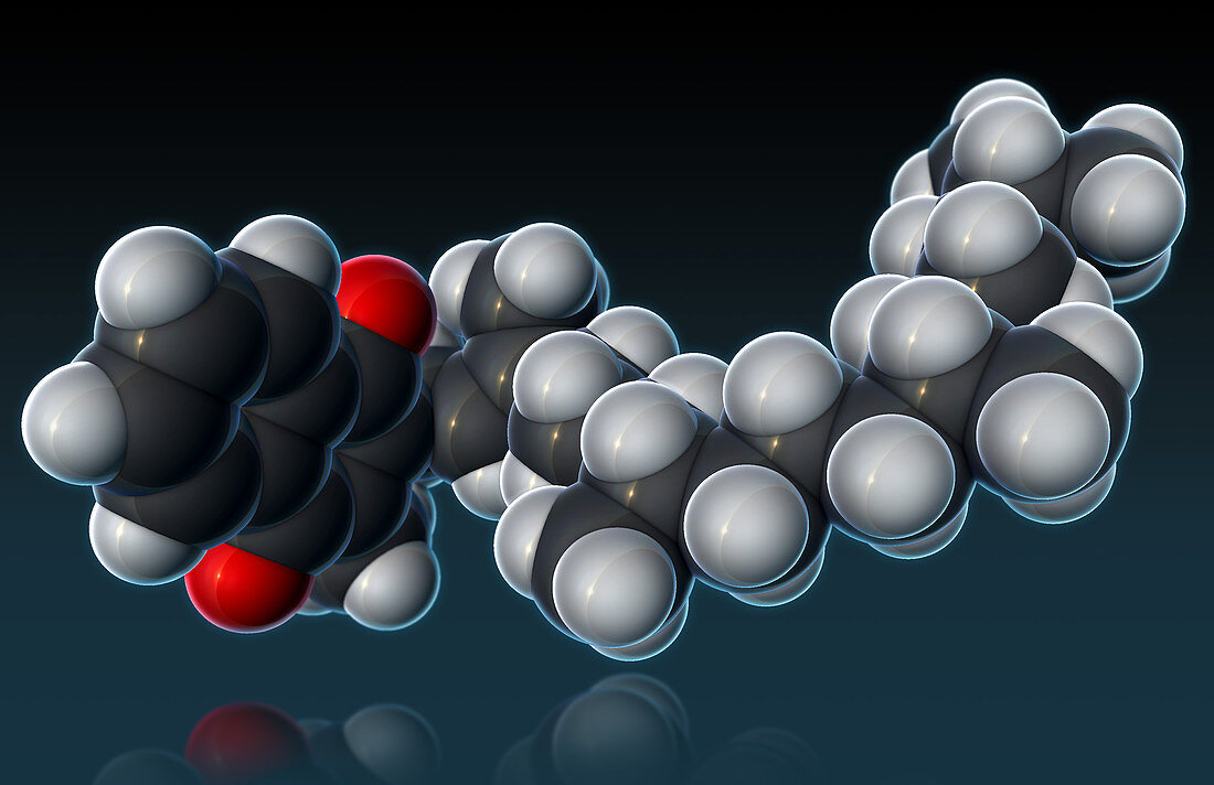 Vitamin K1,Molecular Model,illustration