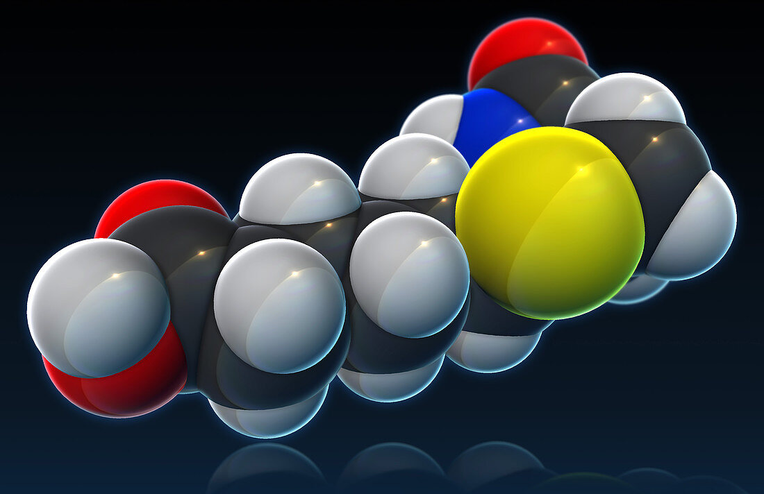 Vitamin B7,Molecular Model,illustration