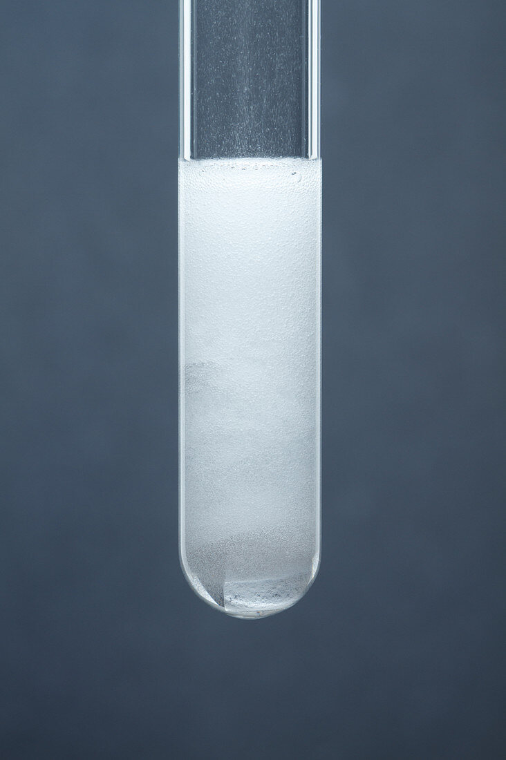 Magnesium reacts with hydrochloric acid