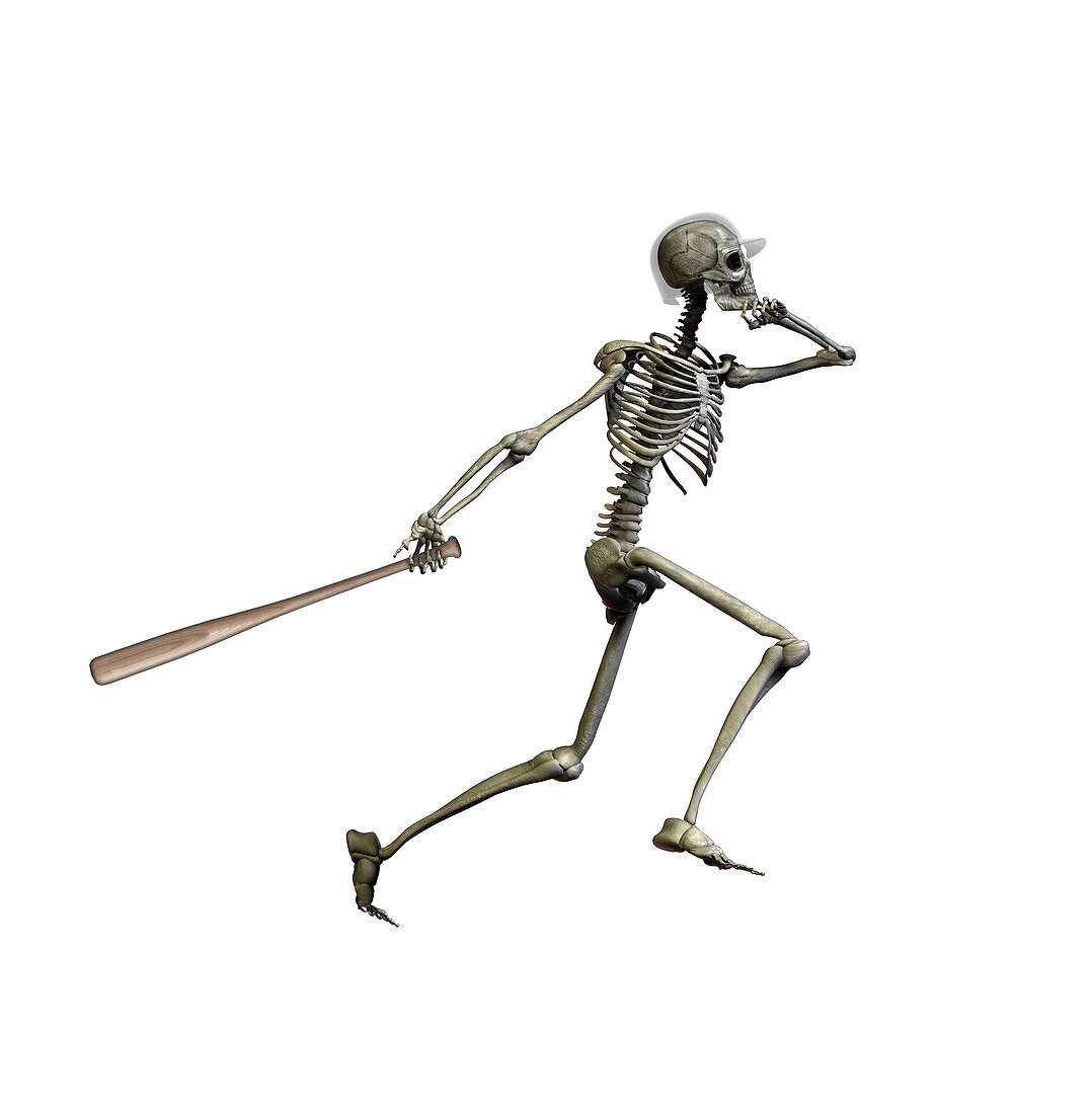 Skeleton Hitting a Home run,illustration