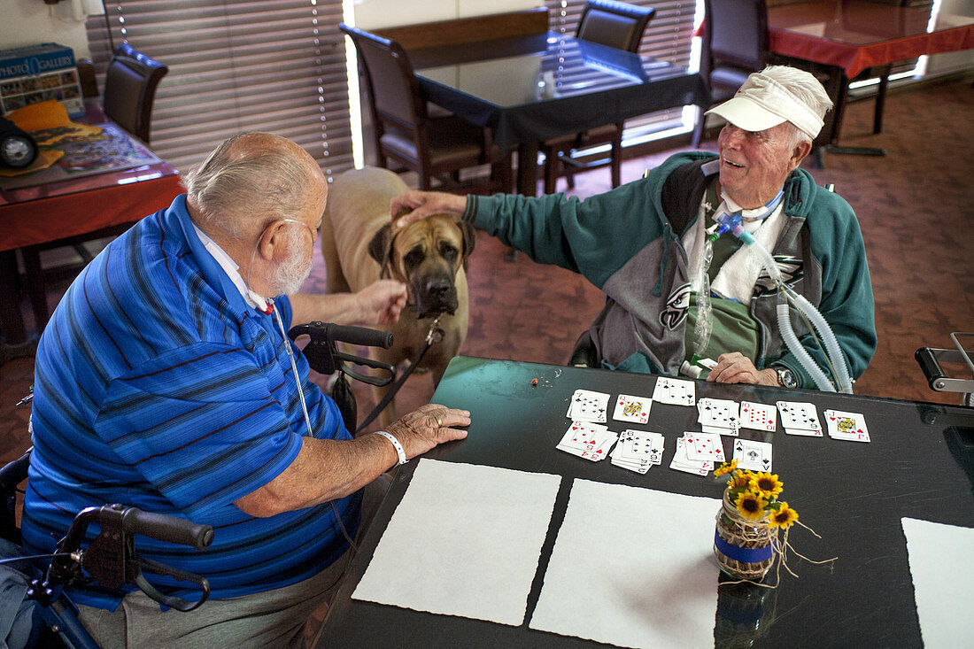 Senior Patients in Rehab Clinic with Dog