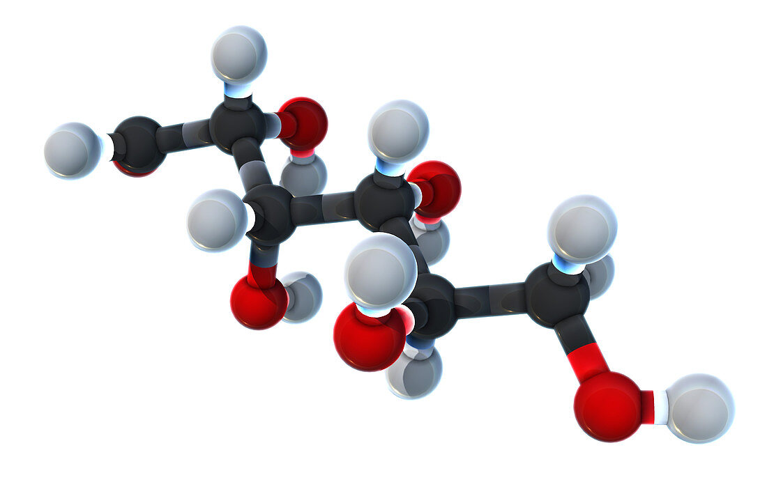 Glucose,Molecular Model,illustration