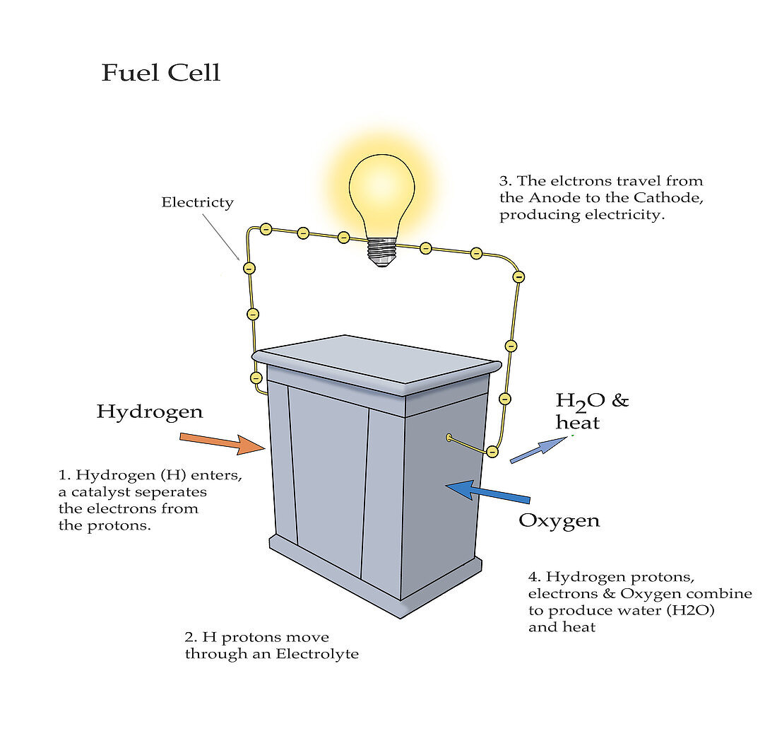 Fuel Cell,illustration