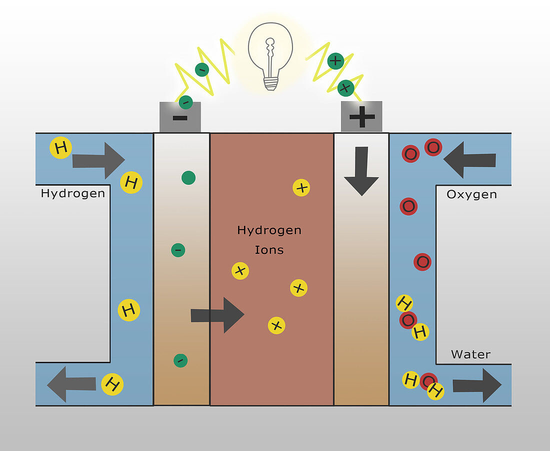 Hydrogen Fuel Cell,illustration