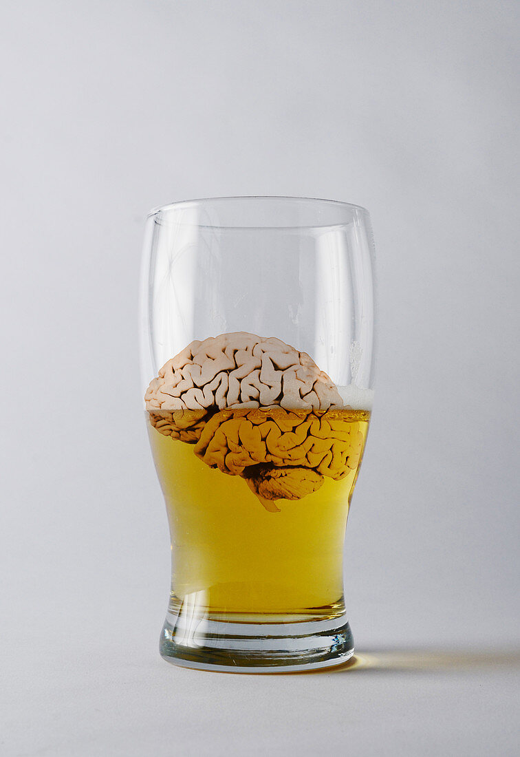 Brain and Alcohol,Conceptual