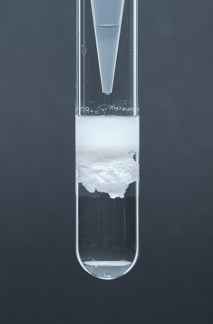 Silver chloride precipitate