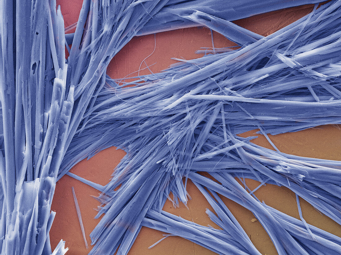 Caffeine Crystals,SEM