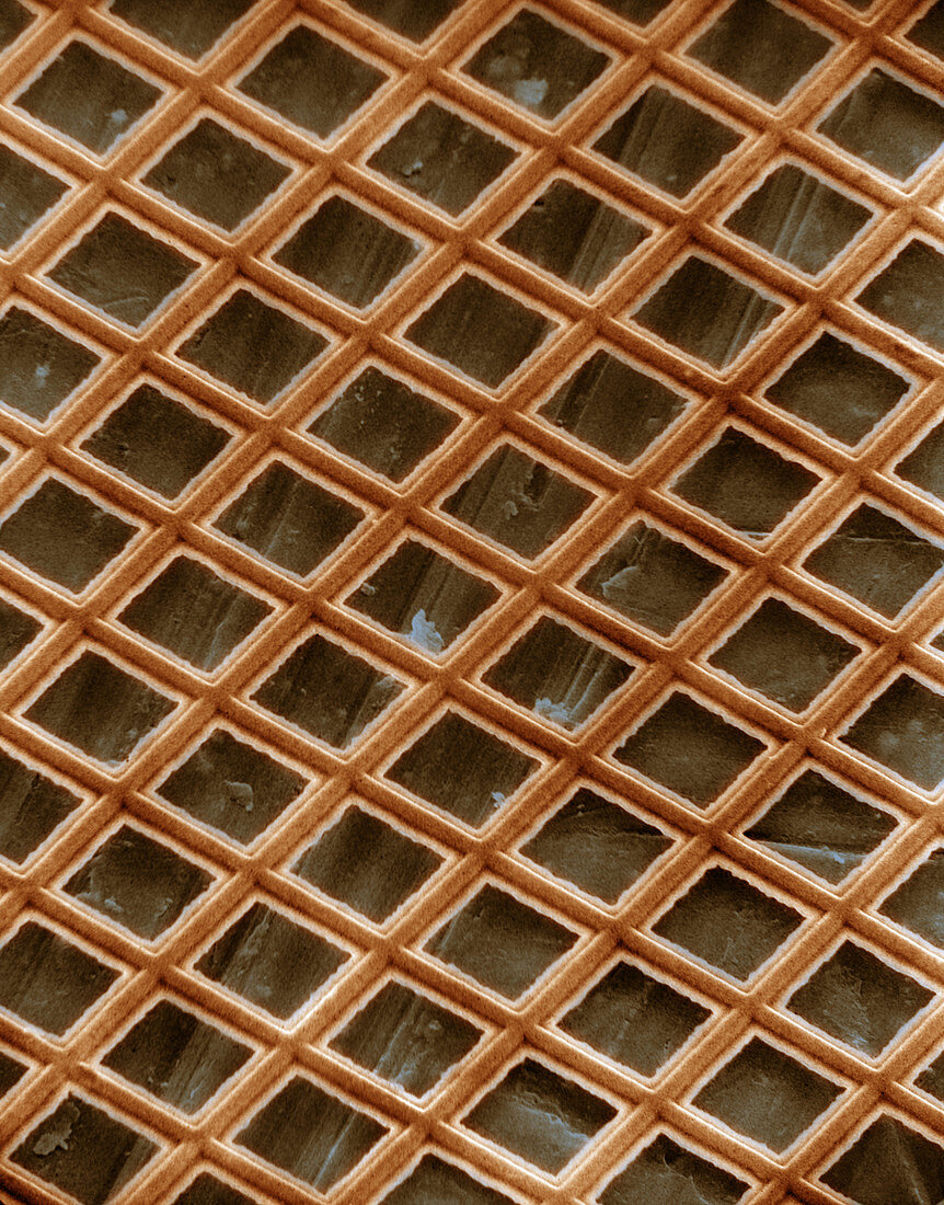 Copper electron micrograph grid