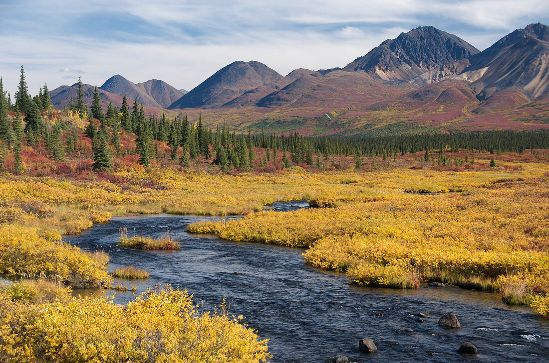 Alpine Habitat and Alaska Range