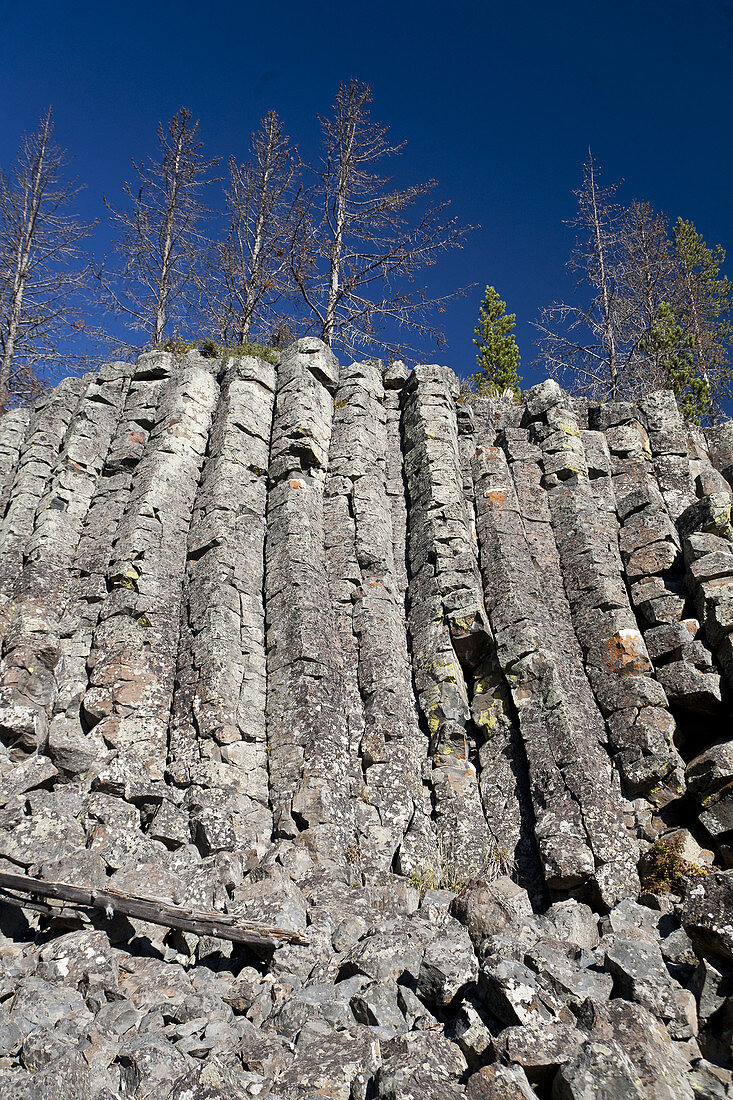 Columnar Basalt Cliff