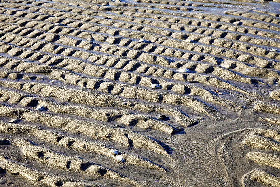 Beach Sand Abstract